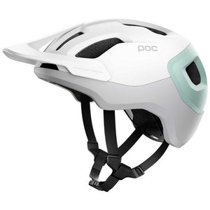 POC Axion Spin Hydrogen White